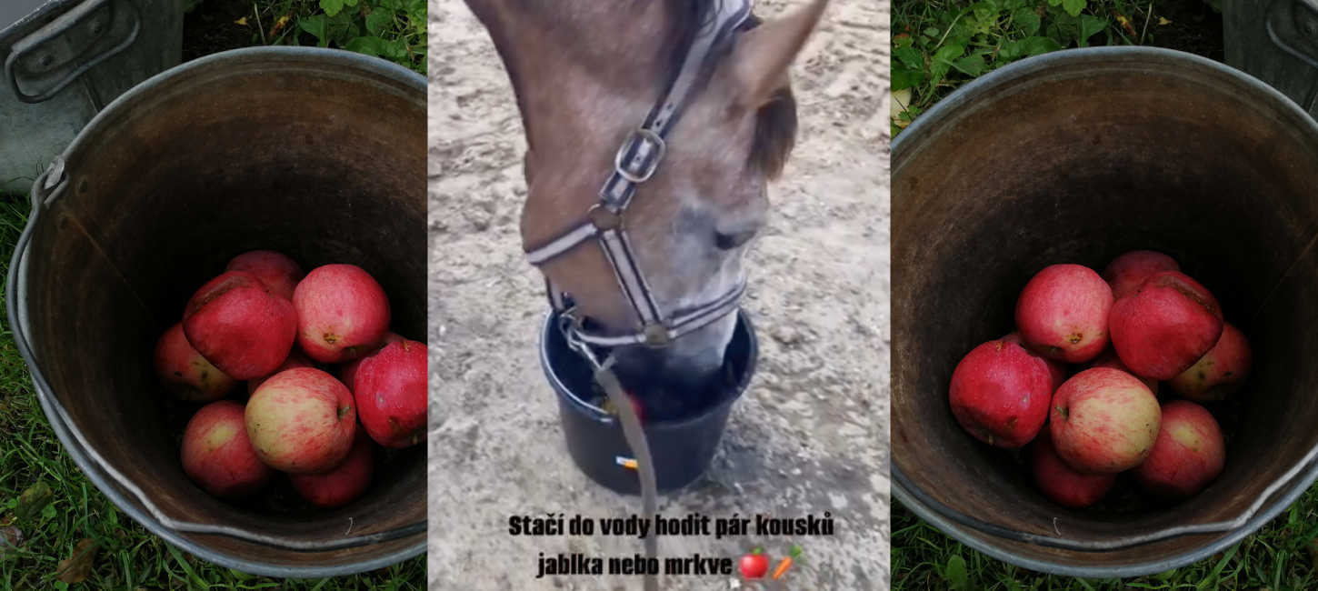 jabko ve vodě